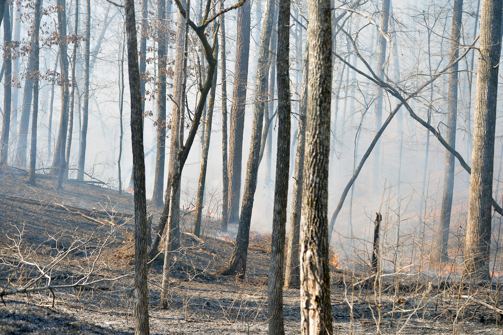 Prescribed Burn